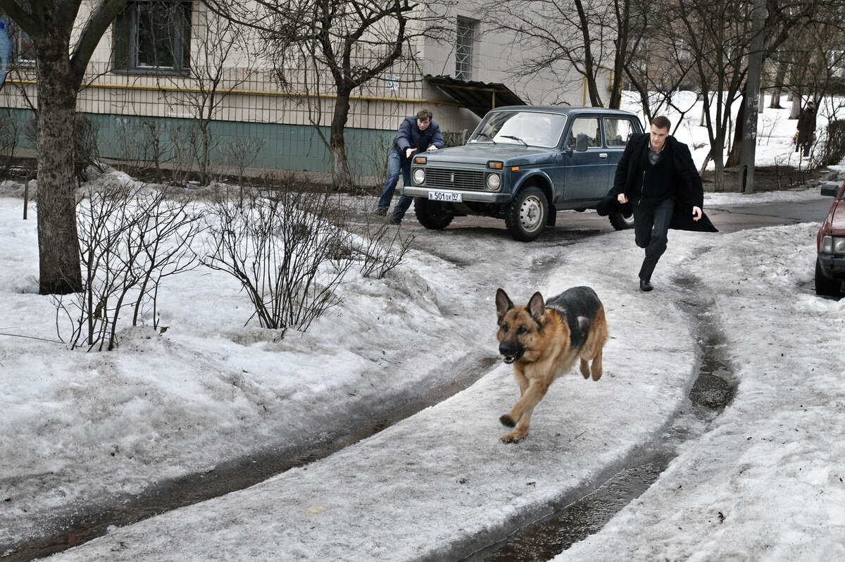 Якс вместе с героем Павла Вишнякова гонится за преступником