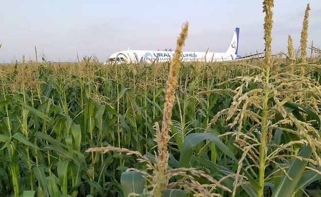  Фото: ГУ МЧС РФ по МО