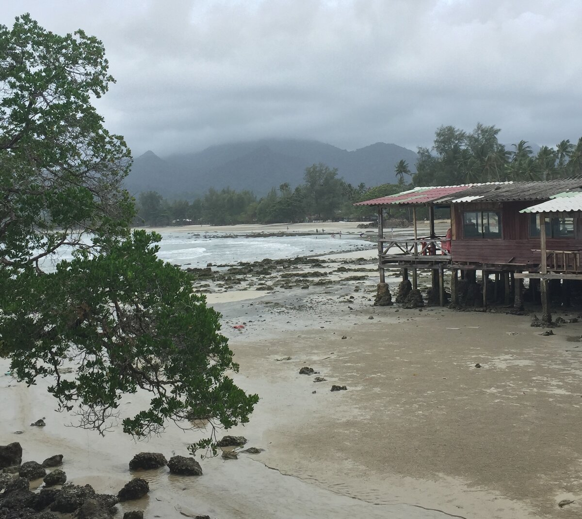 В сезон это все покрыто водой
