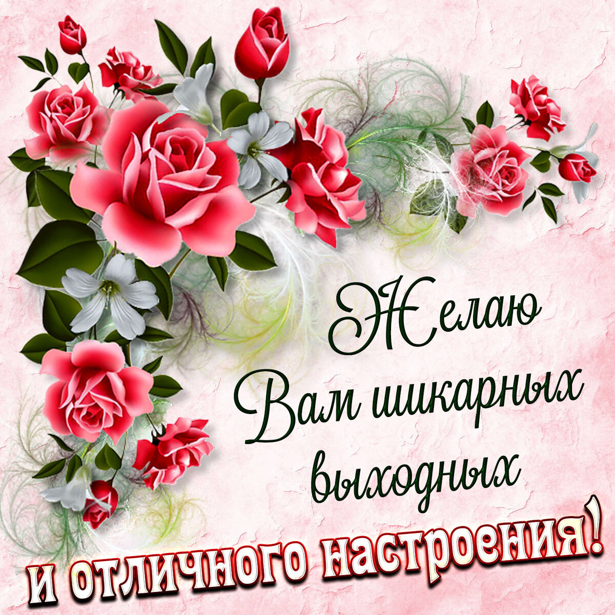 ‎App Store: B’Day Cards - Красивые открытки, фото-поздравления и пожелания на День Рождения