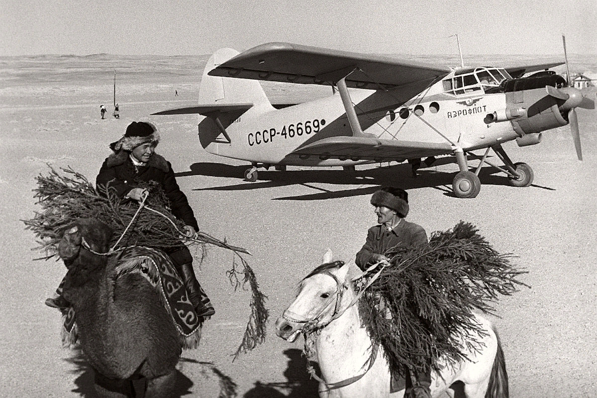 Самолет АН-2 доставил новогодние елки в Бухару, Узбекская ССР, 1965
