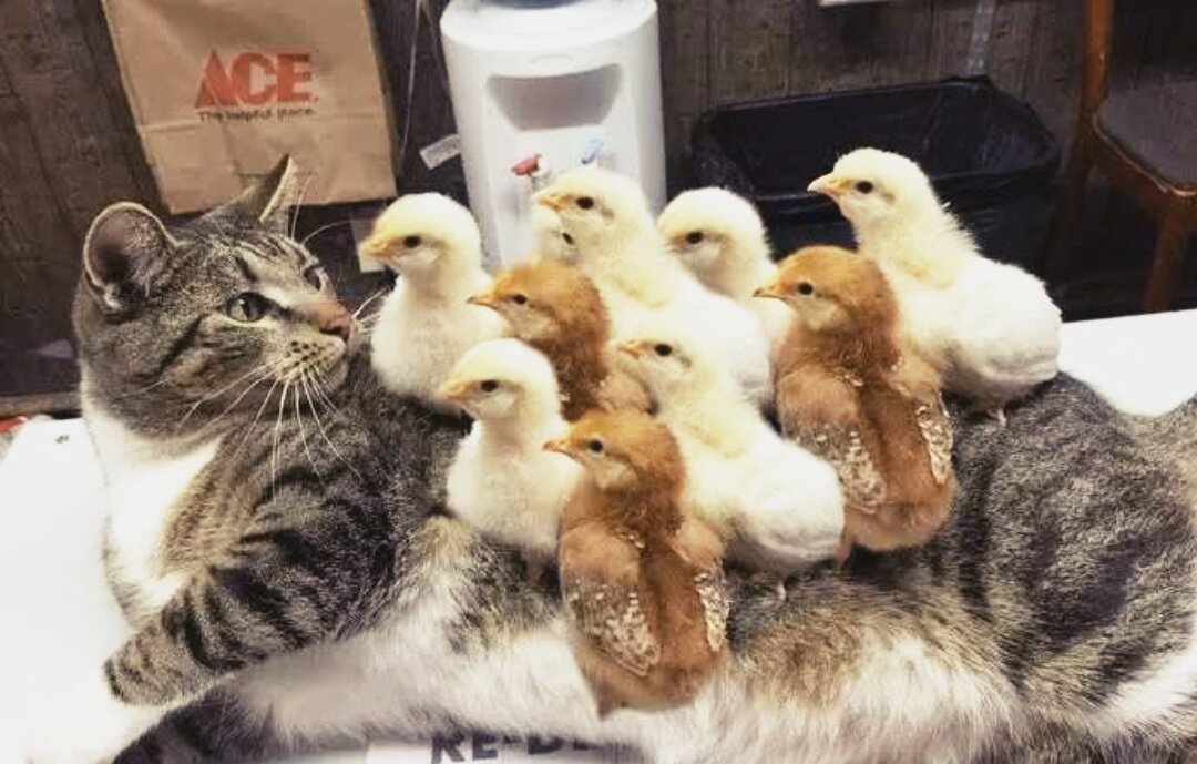 Какого черта?))