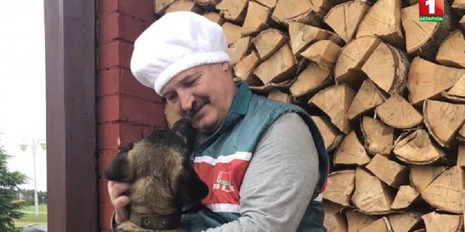 А. Лукашенко и собака. Неизвестный пёс подбежал и лизнул президента. Запечатлено телевидением.