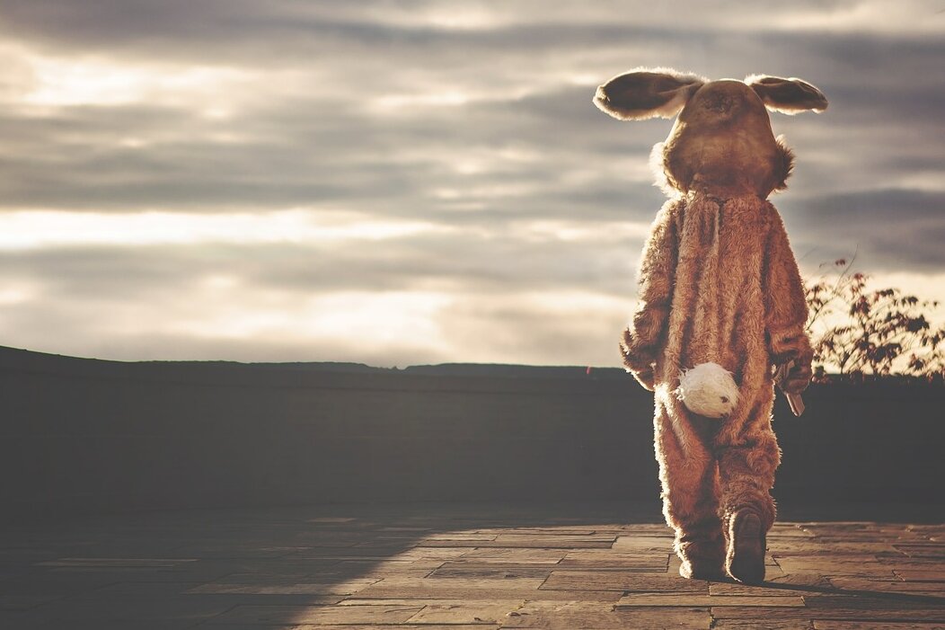 Источник изображения: pixabay.com