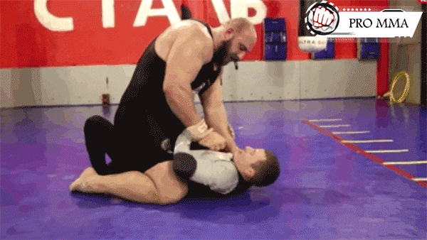 Борьба в партере