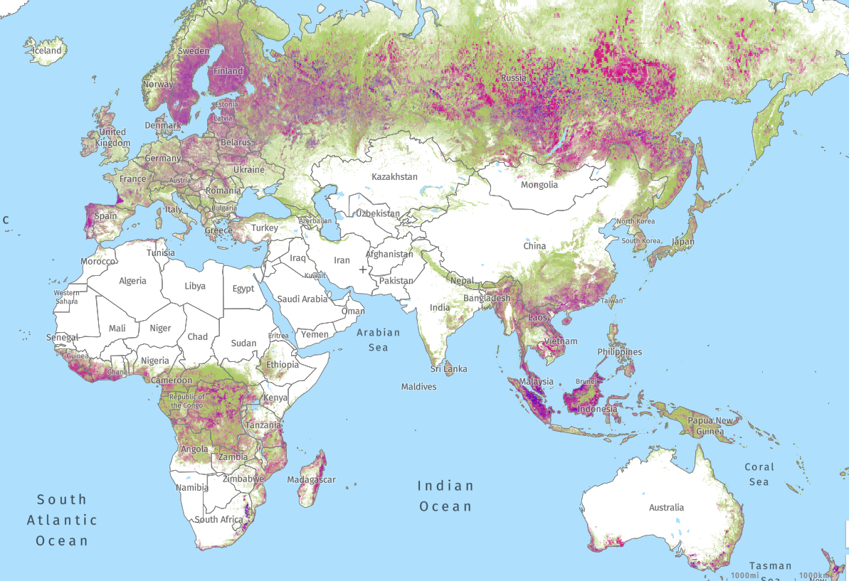 Источник: www.globalforestwatch.org