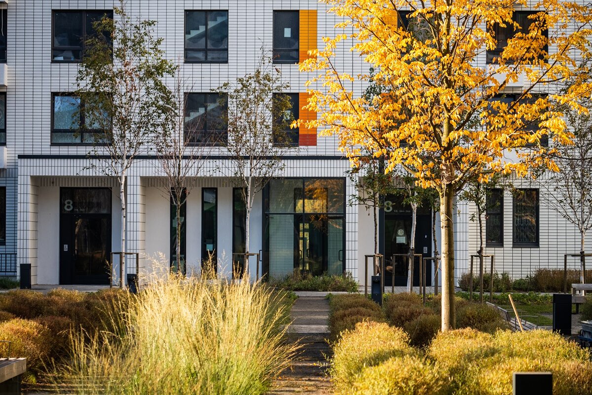 вид на подъезд черед двор-парк одного из корпусов проекта «Бунинские луга»