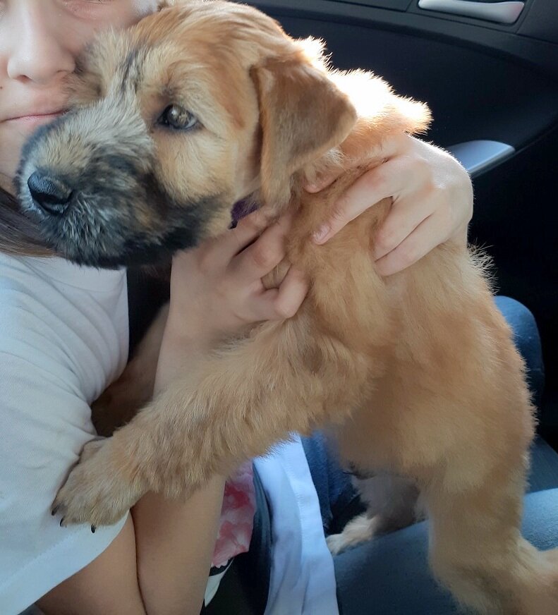 Чили едет домой - 2,5 месяца. Фото автора.