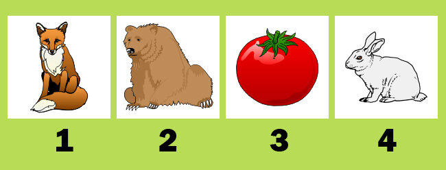 Авторская иллюстрация для сайта http://kidolimp.ru