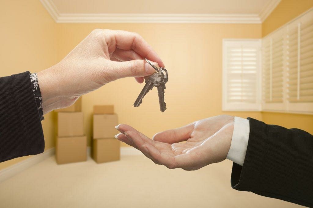 Яндекс Картинки