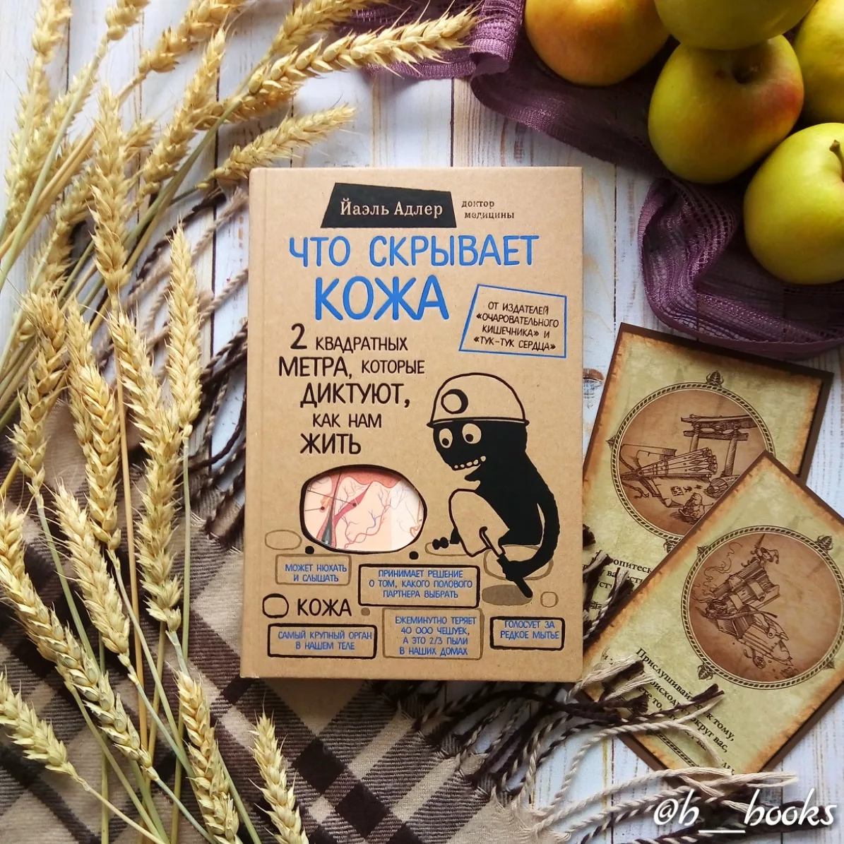 Что скрывает кожа книга. Йаэль адлер книги. Книга йаэль адлер что скрывает кожа. Книга про кожу. Бьюти минимализм книга.