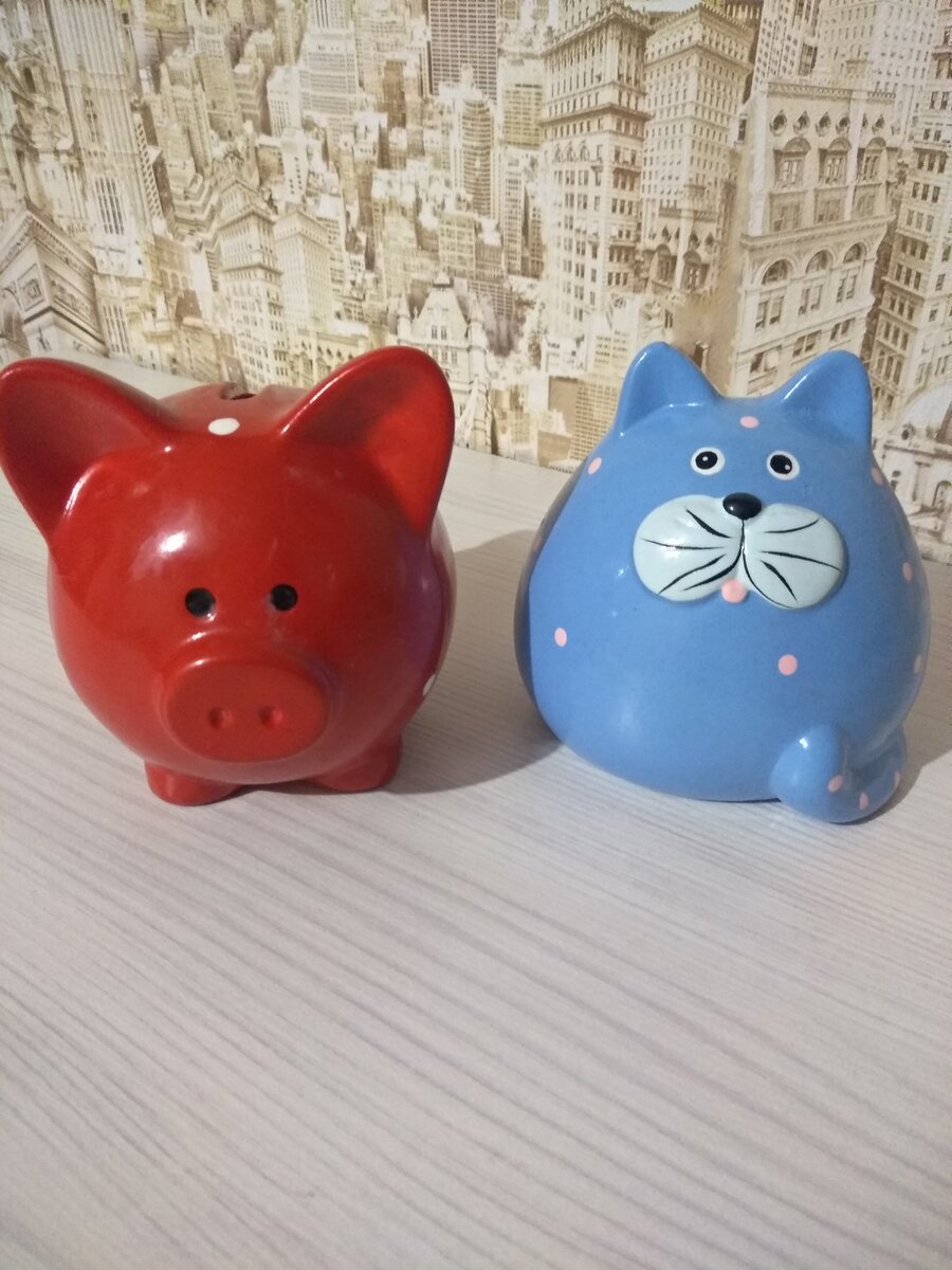Очаровательная свинка и не менее очаровательный кот