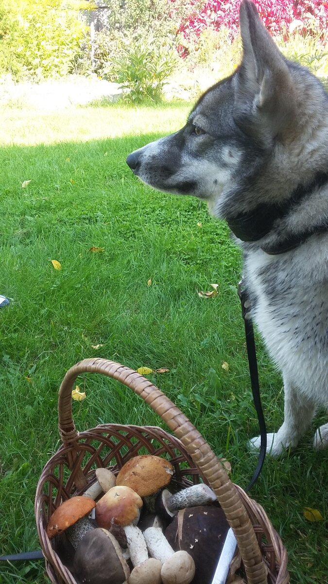 Горжусь своей добычей