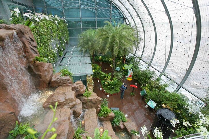 © Changi Airport / Facebook 