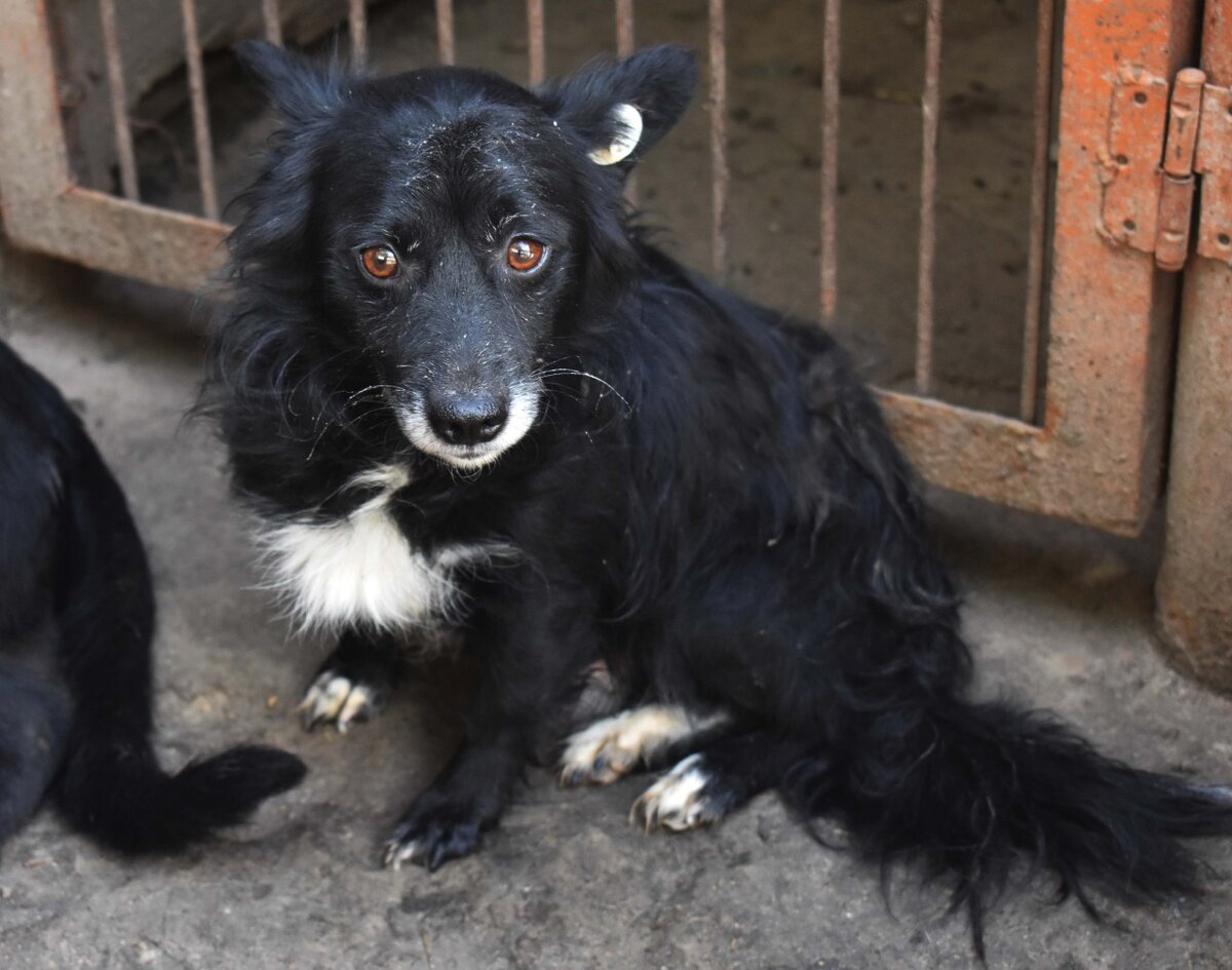 Маленький заключенный