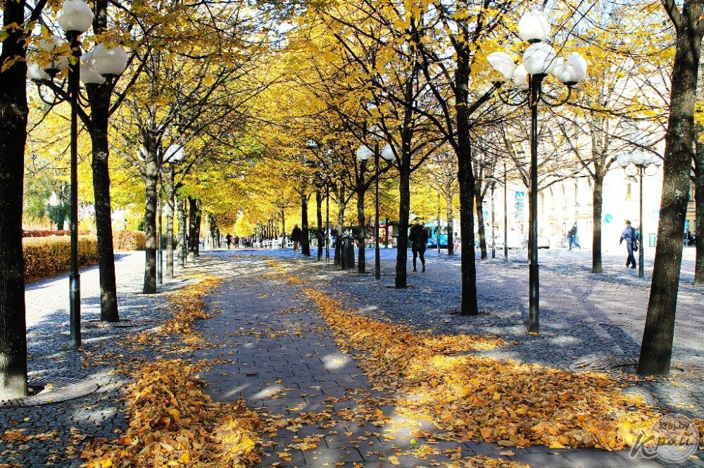 Использовано в качестве иллюстрации из архива kraj.by