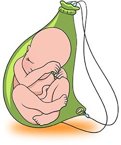 Фото из открытых источников в интернете. Если это ваша фотография, и вы считаете, что она не должна здесь быть, напишите мне. Я её удалю. С уважением ко всем авторским правам.