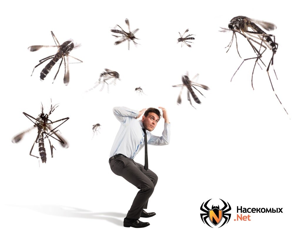 Комары
