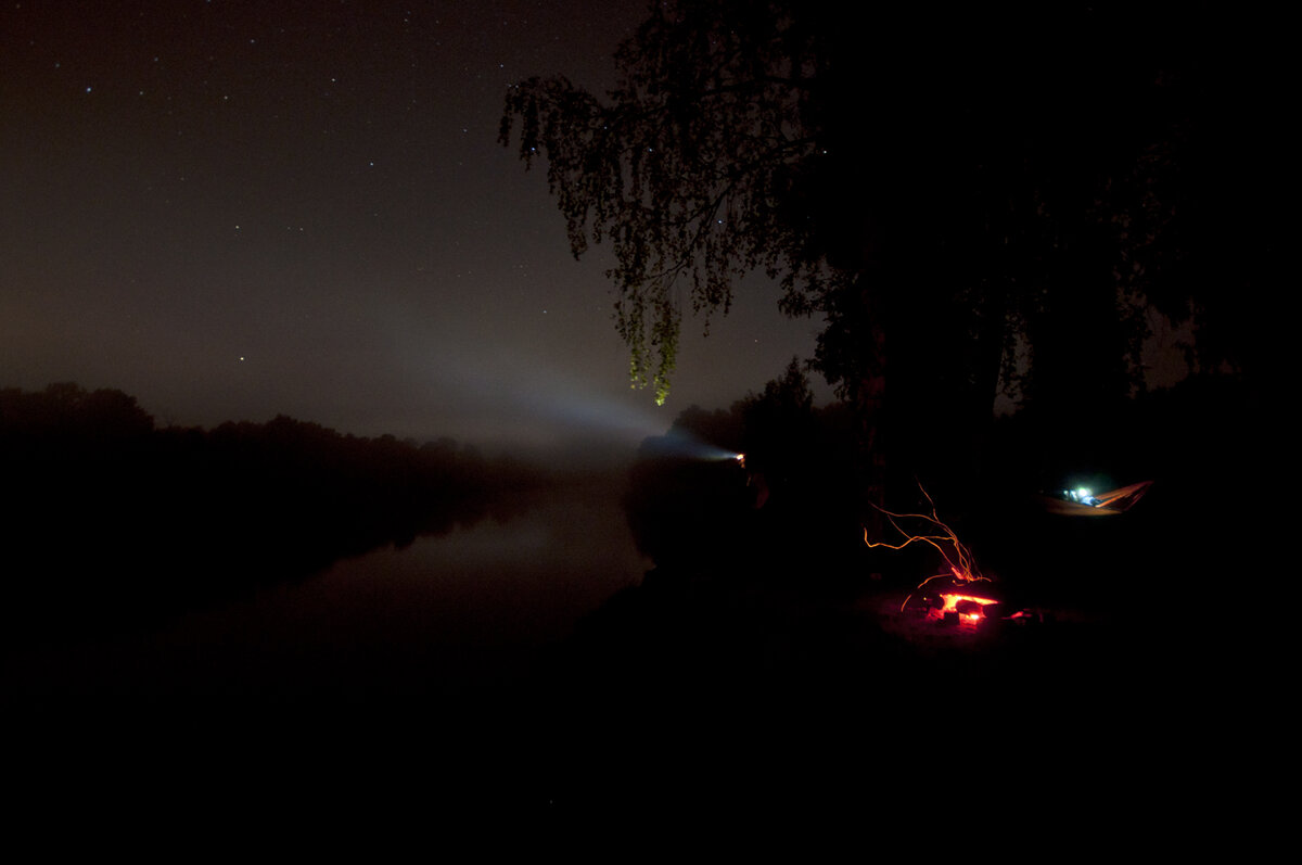 Перед рассветом в лес приходит туман