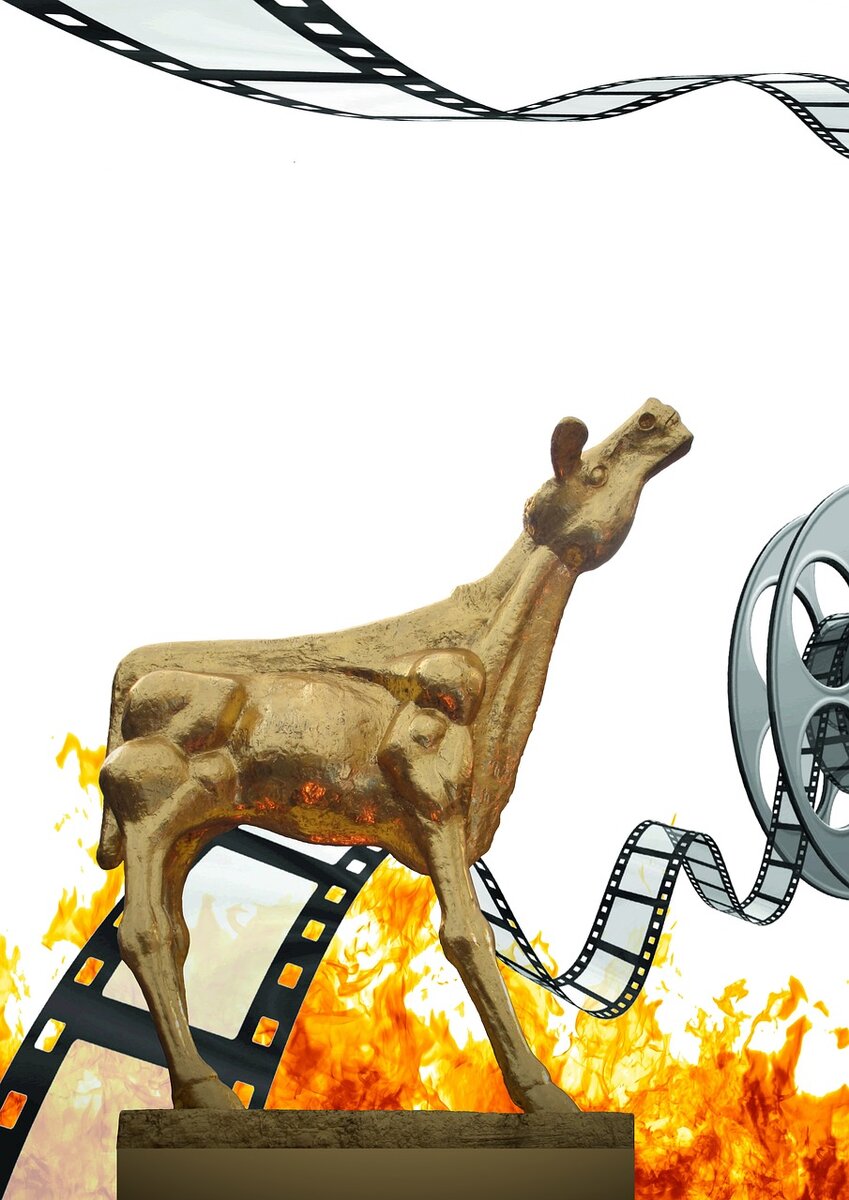 pixabay.com/cow-cinema