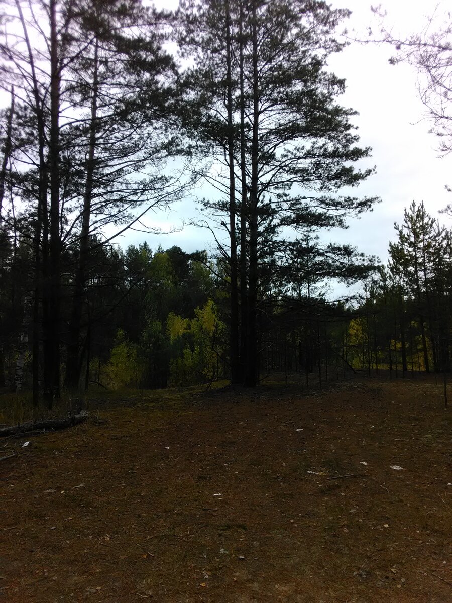 Фото автора.