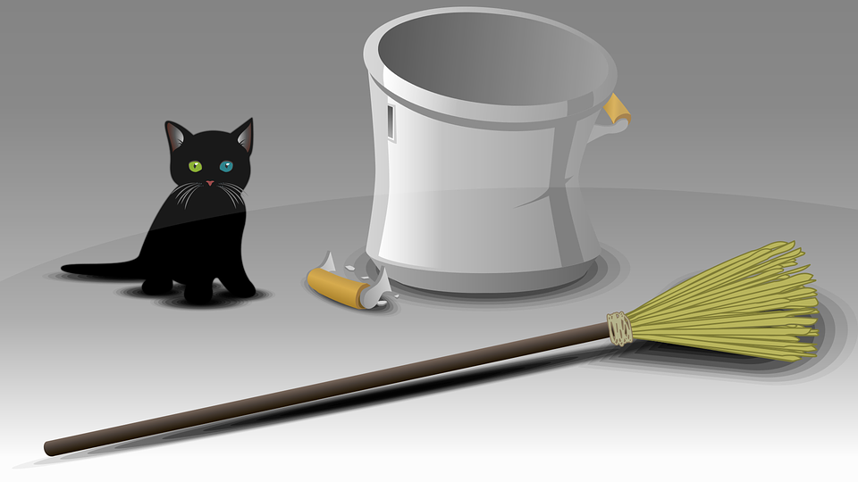 https://cdn.pixabay.com/photo/2018/10/04/08/33/black-cat-3723173_960_720.png
