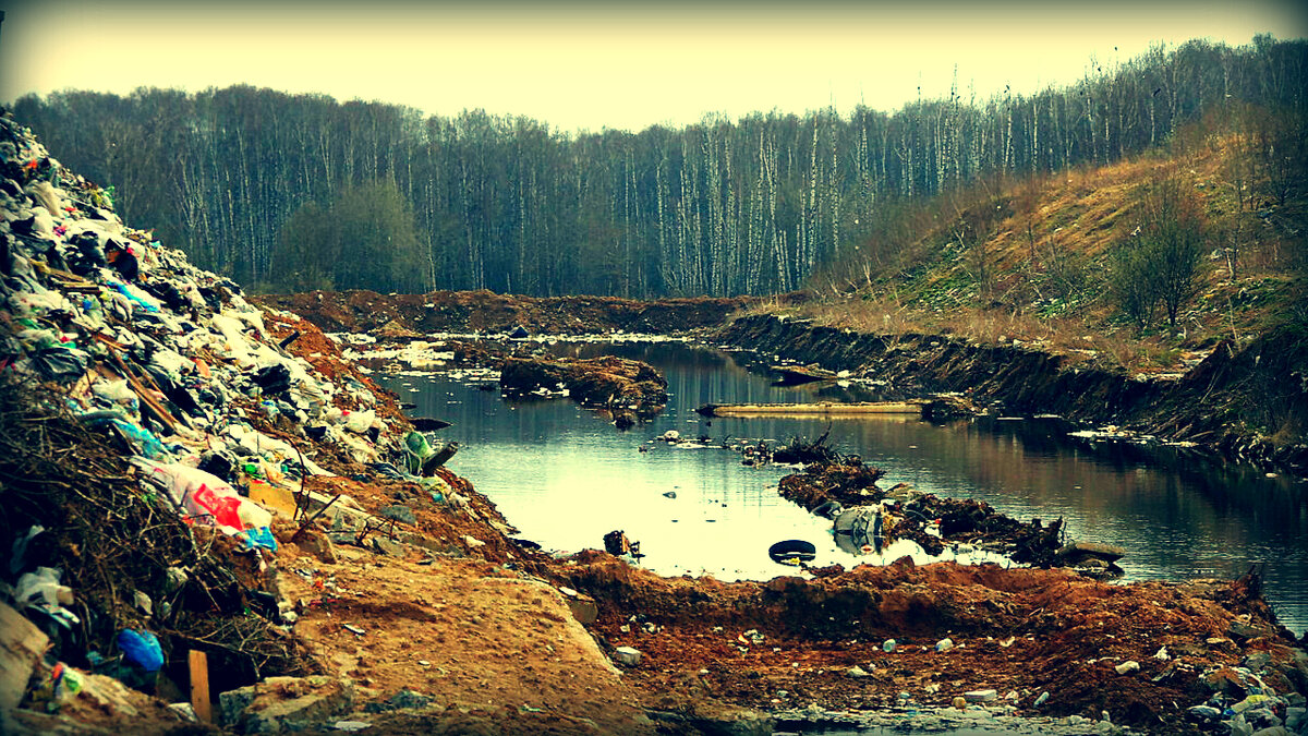 Море фильтрата и горы мусора. Остатки зелёного леса гниют заживо. Так сейчас выглядит полигон ТБО "Воловичи", в Коломенском городском округе.