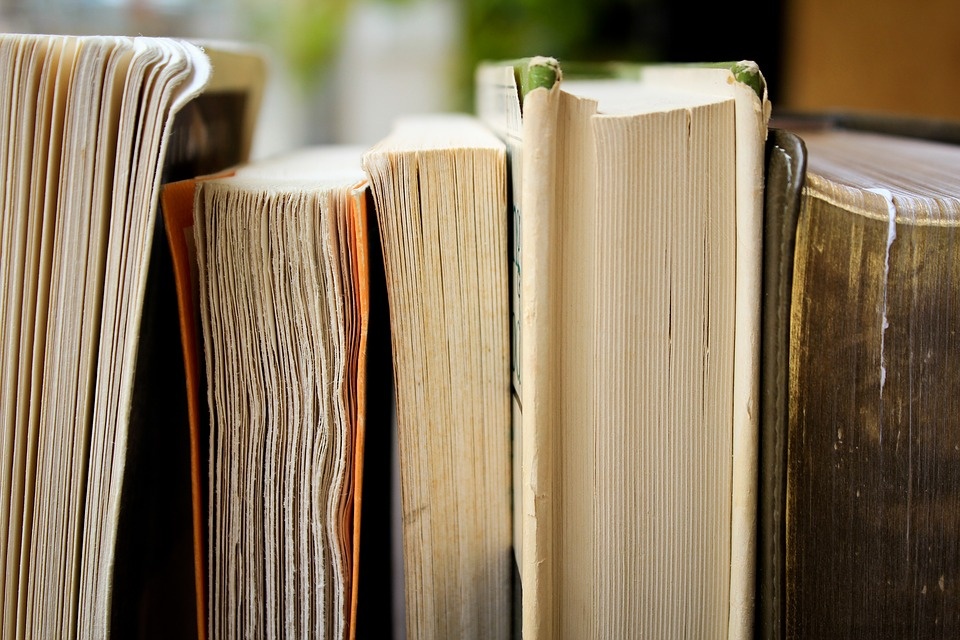 Фото Pexels / https://cdn.pixabay.com/photo/2016/11/22/21/33/books-1850645_960_720.jpg