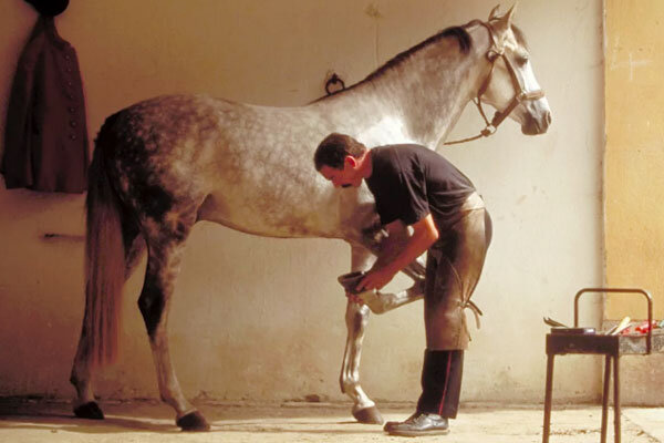 Источник фото сервис Яндекс.Картинки