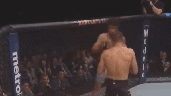  Бой против Кайла Бочняка, жесткая заруба, Забит Магомедшарипов, боец мма, ufc