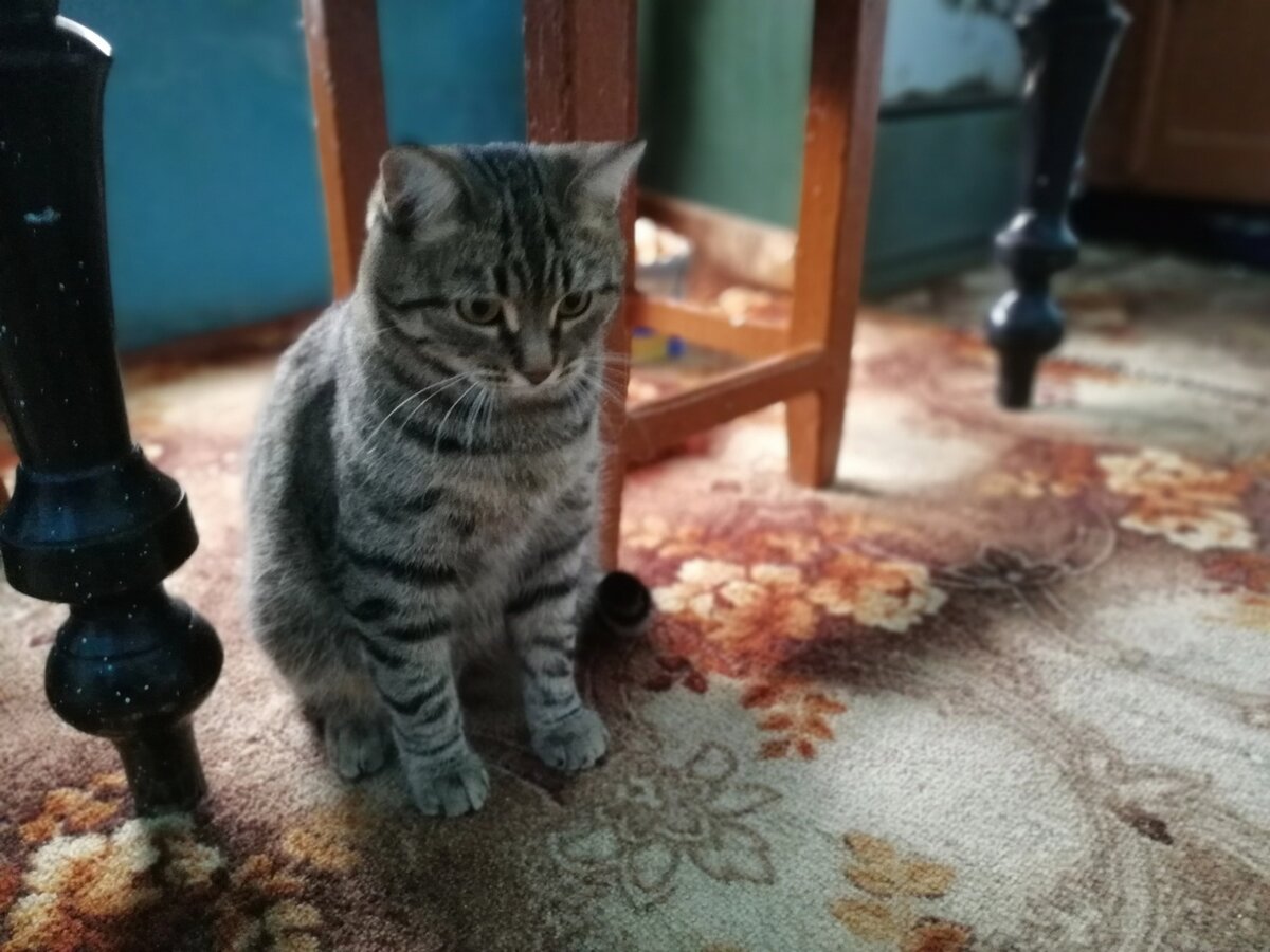 фото автора канала