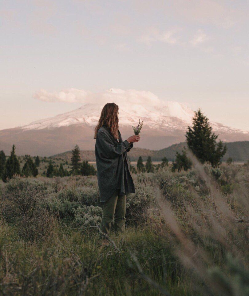 собирать растения в поле