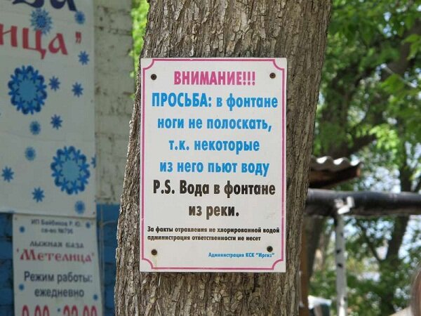 window.msk.ru