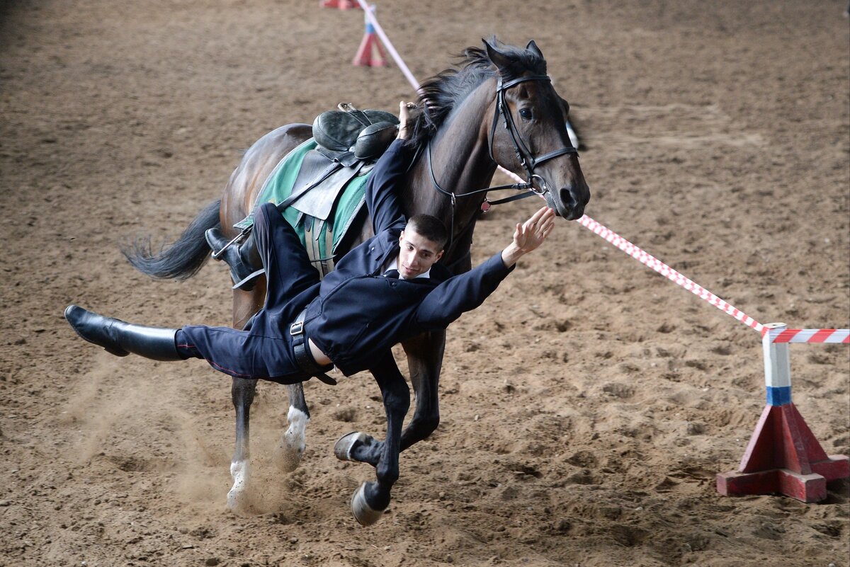 Фото: Пресс-служба ГУ МВД по Москве