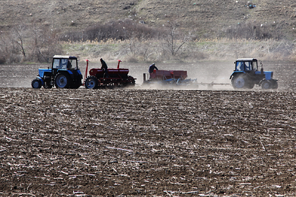  Фото: Сергей Аверин / РИА Новости