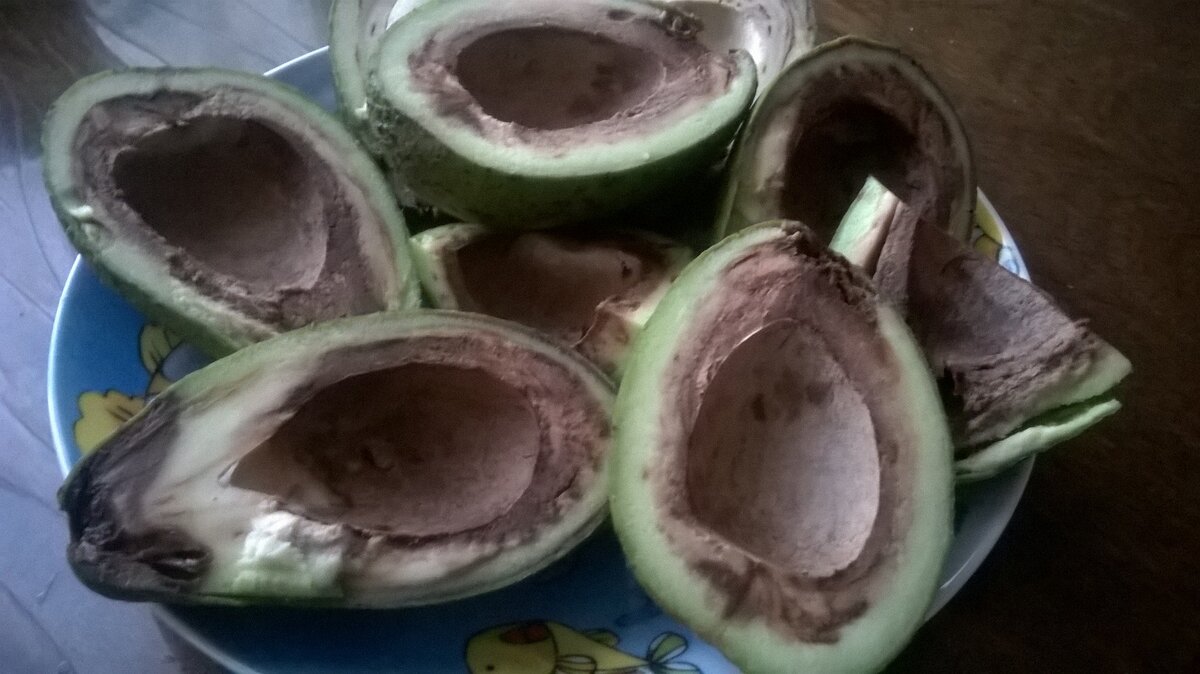 гнилой авокадо в разрезе. авокадо хасс косточка. вокадо хас темный внутри. тухлый авокадо. авокадо хасс гнилое.