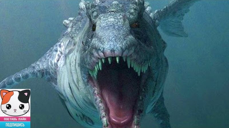 Очередная подборка забавных и интересных видео с животными! Хорошего настроения!