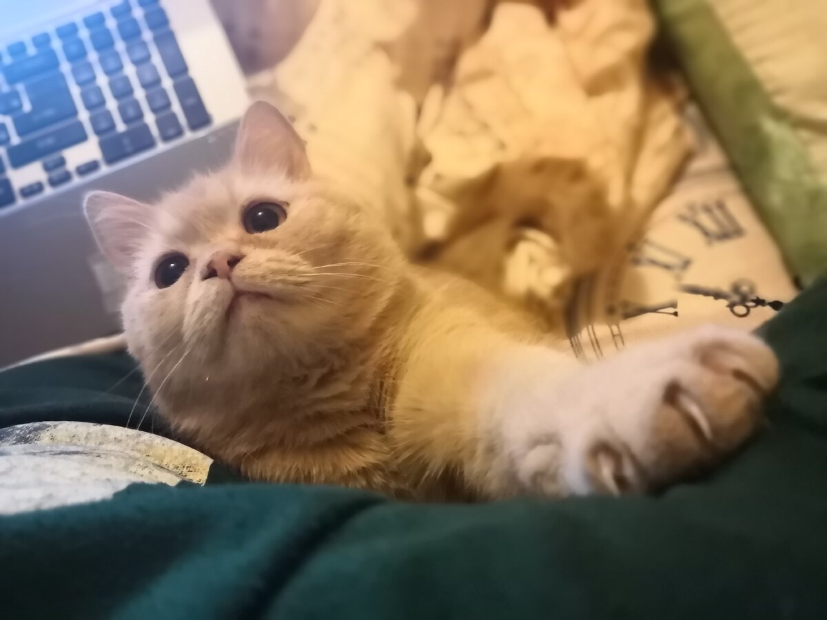 Марсик четко следит за тем, чтобы я хорошо работал и хорошо отдыхал)))