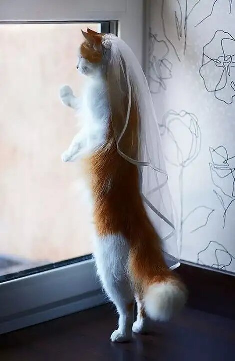 фото использовано в качестве иллюстрации. Источник "Яндекс.Картинки"