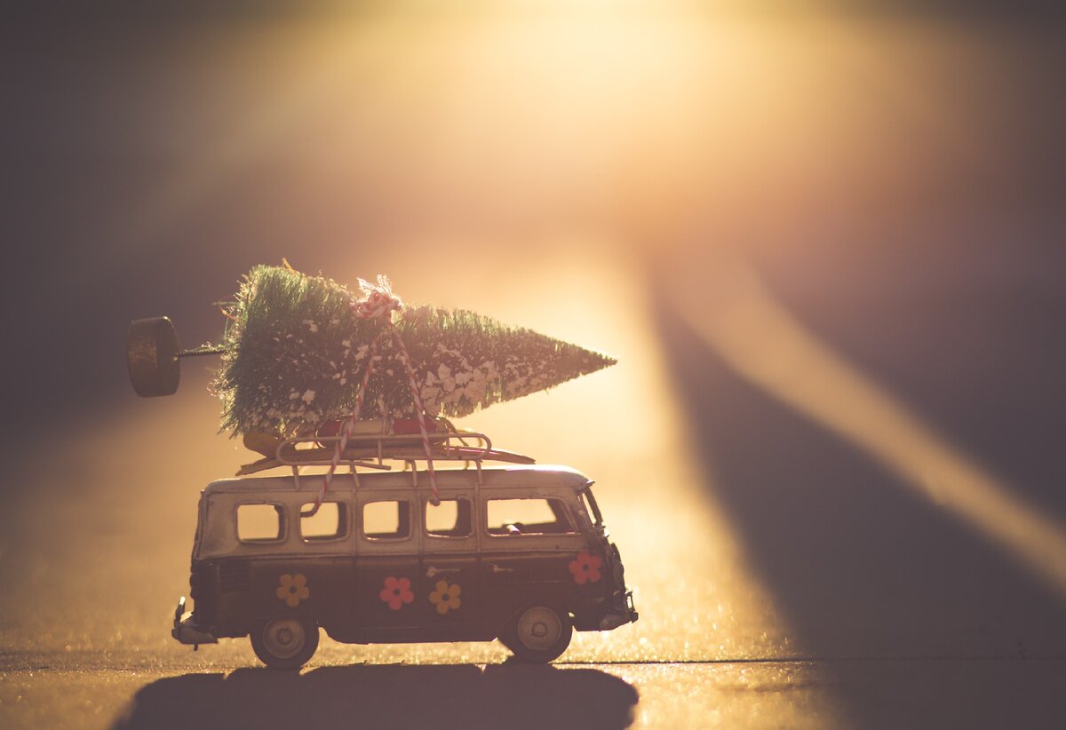Фото: Unsplash.com/@auntneecey
