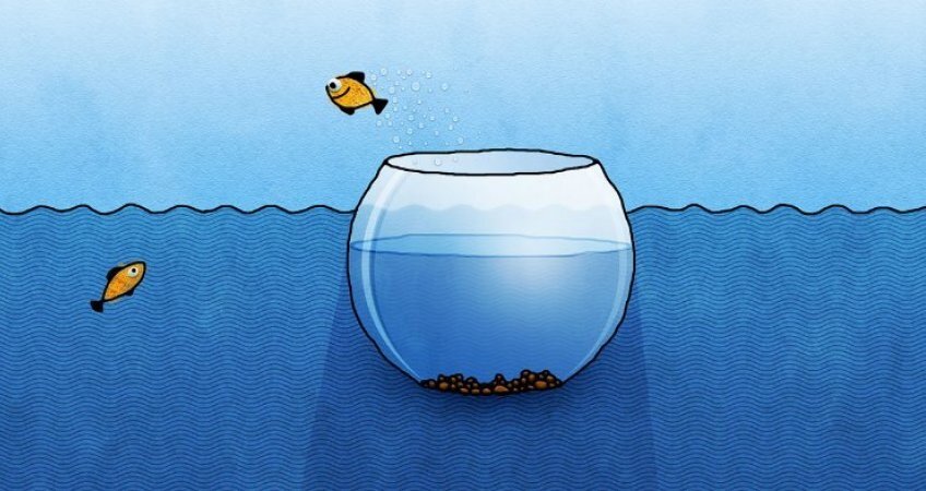 Чем больше ты находишься вне зоны комфорта - тем больше становится твоя зона комфорта!