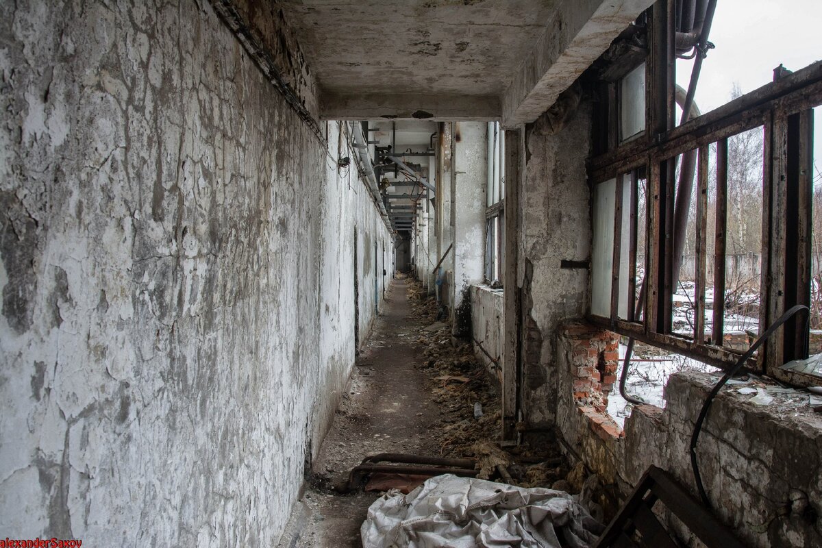 Фото автора канала.