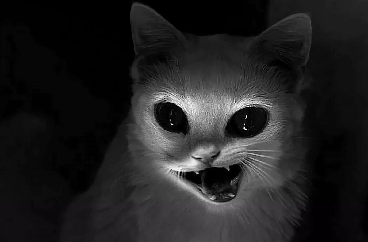 Источник: Яндекс.Картинки 