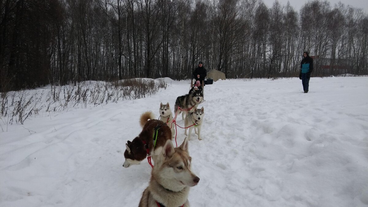 фото из личного архива