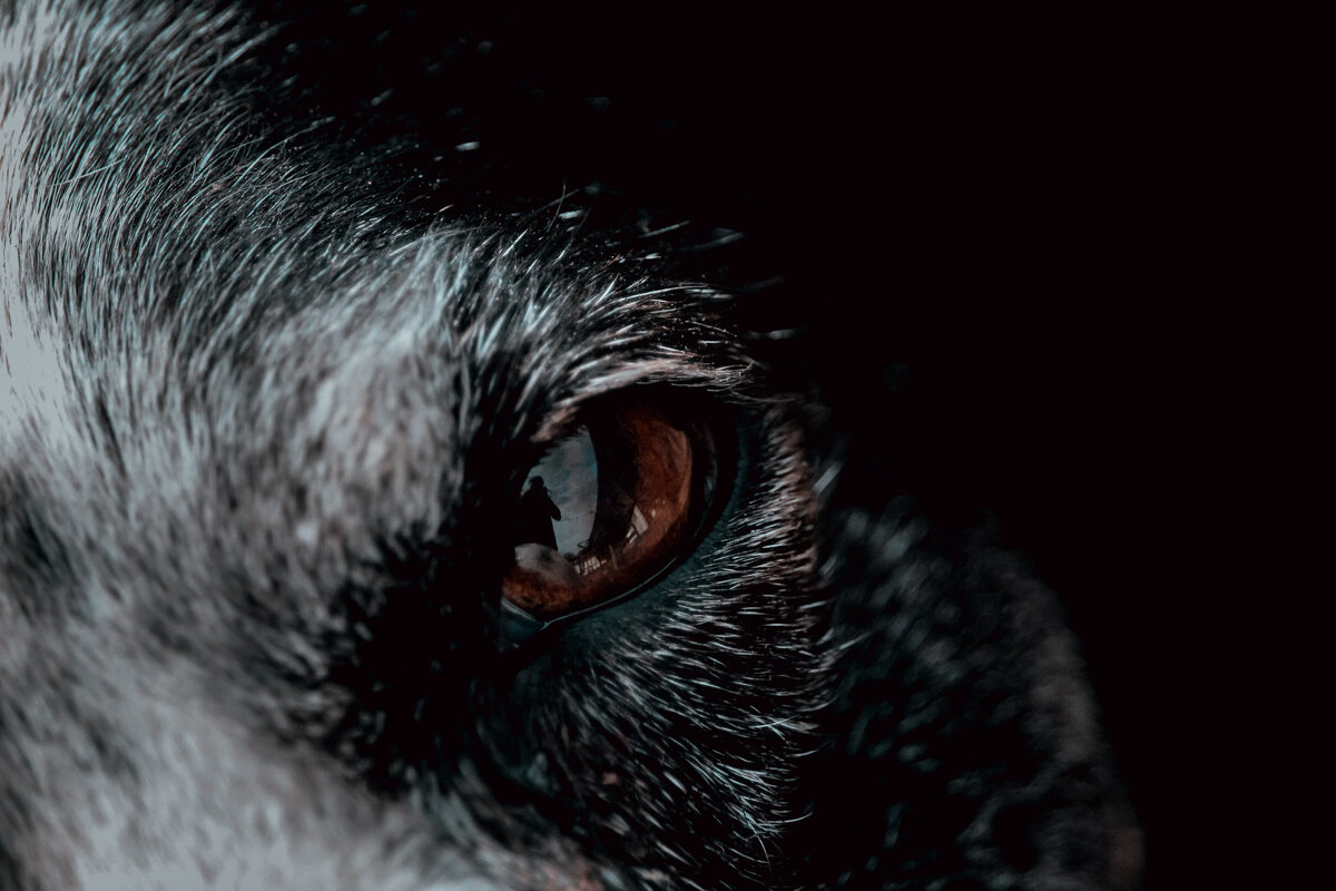 фото: unsplash