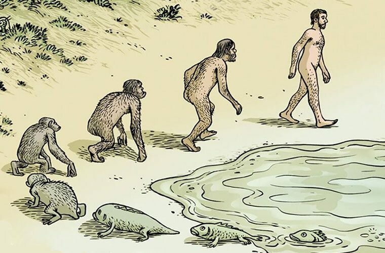 найдено на просторах интрнета