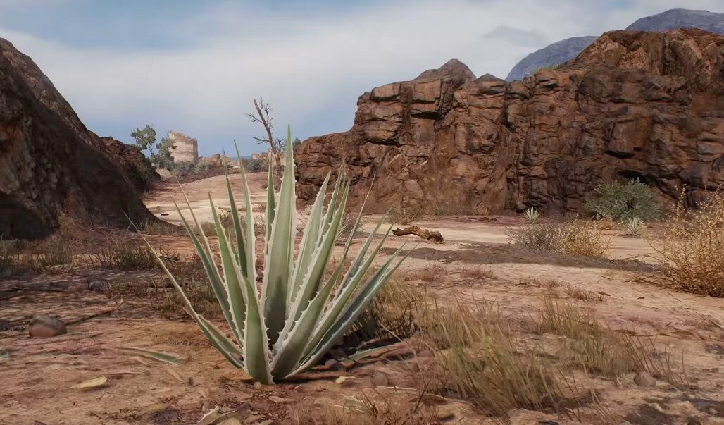 Скриншот из игры