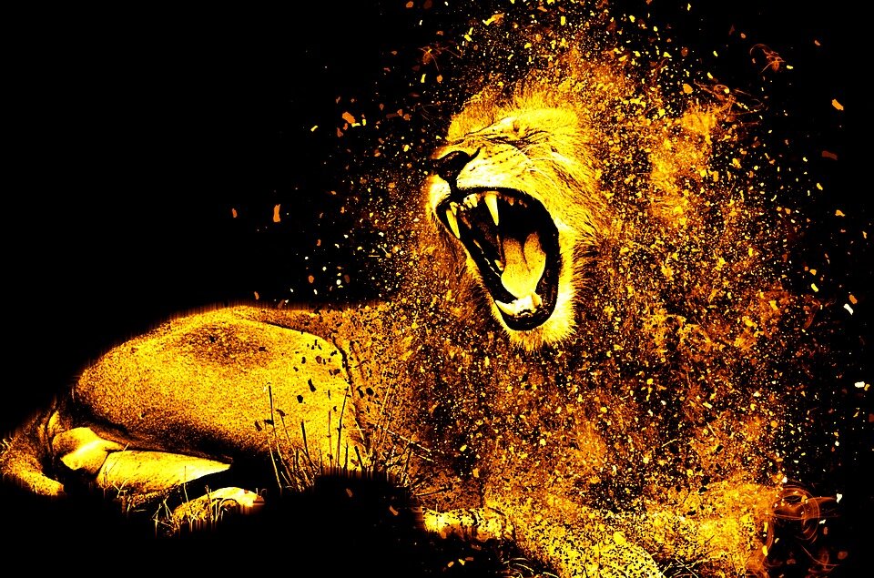 https://pixabay.com/ru/photos/лев-грива-волосы-мех-большой-кот-1987846/