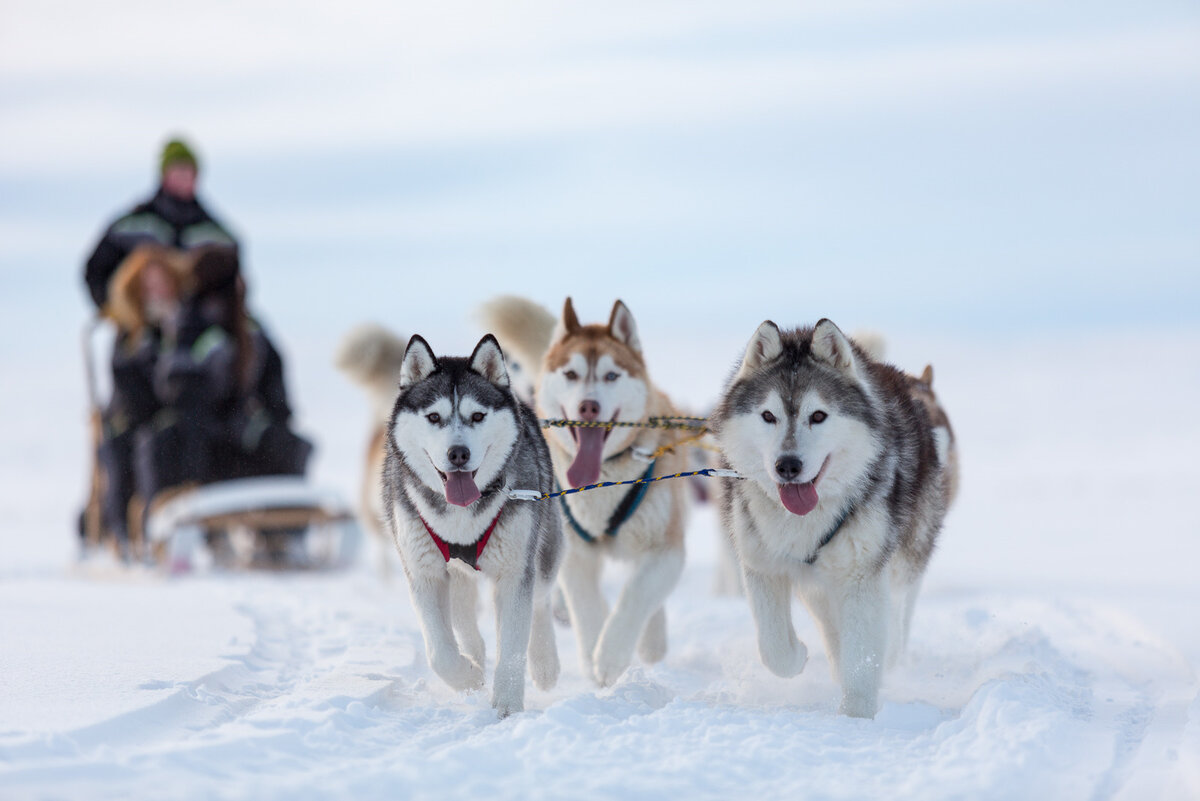 Как закалялся характер...