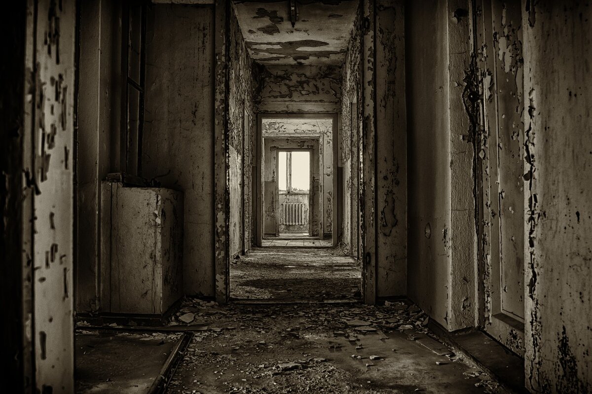 фото взято с сайта pixabay (С)